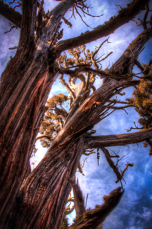  Maralee_Park_Day04_00004