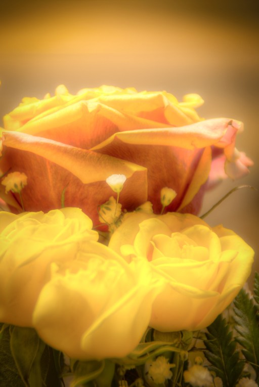 Maralee_Park_Day11_00001