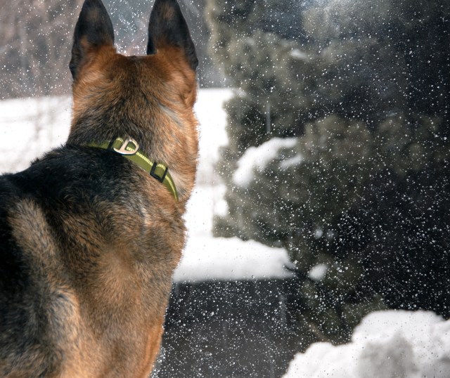 Maralee_Park_Day18_00004