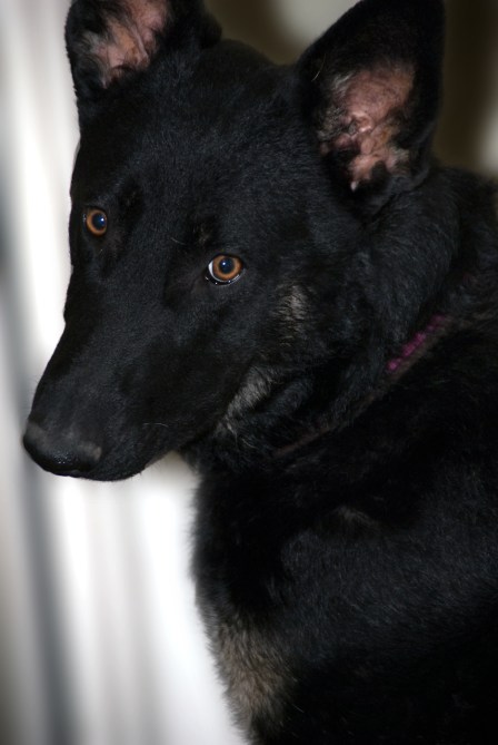 Maralee_Park_Day18_00002