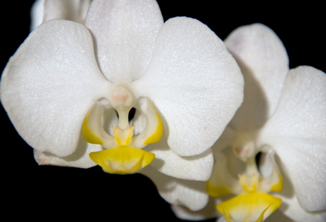 Maralee_Park_Day23_00001-1