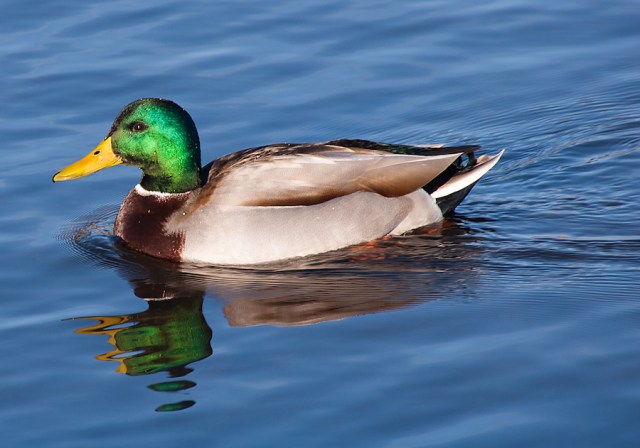 Maralee_Park_Day27_00003