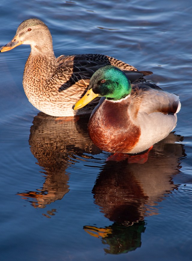 Maralee_Park_Day27_00001