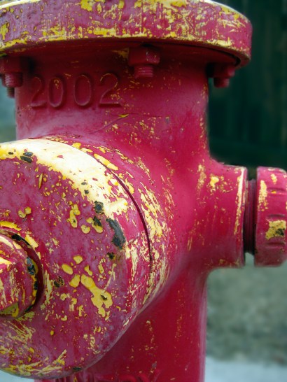 Maralee_Park_Day30_00002