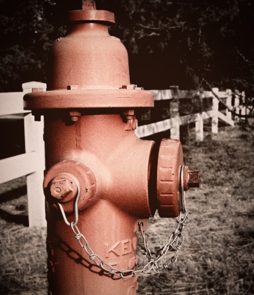 Maralee_Park_Day30_00001