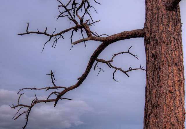 Maralee_Park_Day29_00002