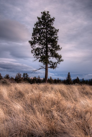 Maralee_Park_Day29_00001