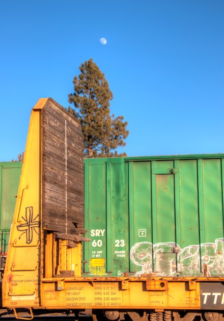 Maralee_Park_Day35_00002