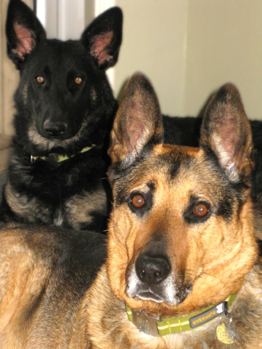 Maralee_Park_Day39_00001