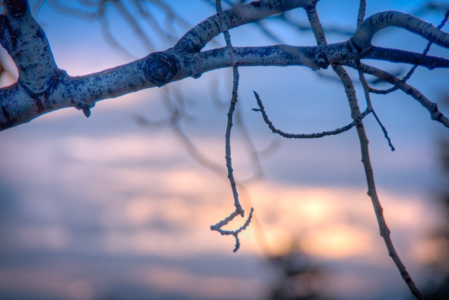 Maralee_Park_Day40_00003