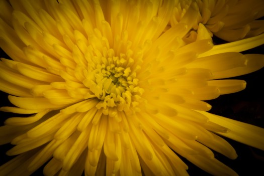 Maralee_Park_Day46_00002