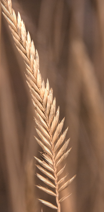 Maralee_Park_Day47_00003