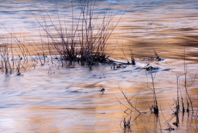 Maralee_Park_Day55_00001