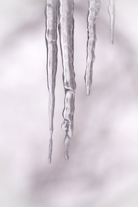 Maralee_Park_Day58_00003