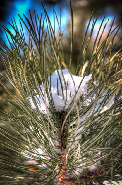 Maralee_Park_Day61_00002