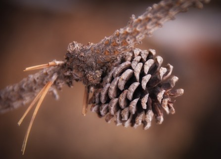 Maralee_Park_Day62_00003