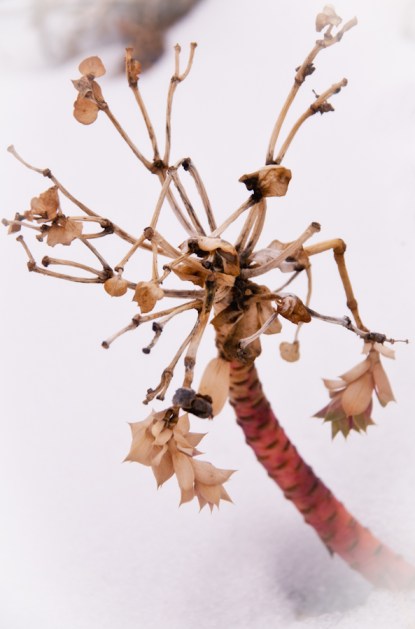 Maralee_Park_Day62_00002