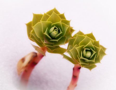 Maralee_Park_Day62_00001