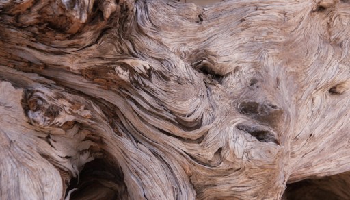 Maralee_Park_Day64_00005