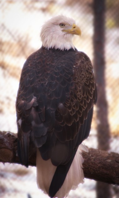 Maralee_Park_Day64_00003