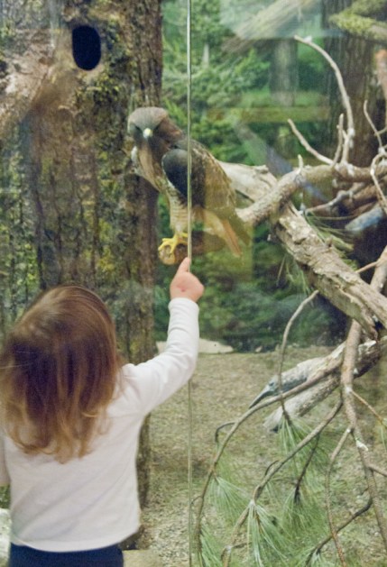 Maralee_Park_Day64_00002