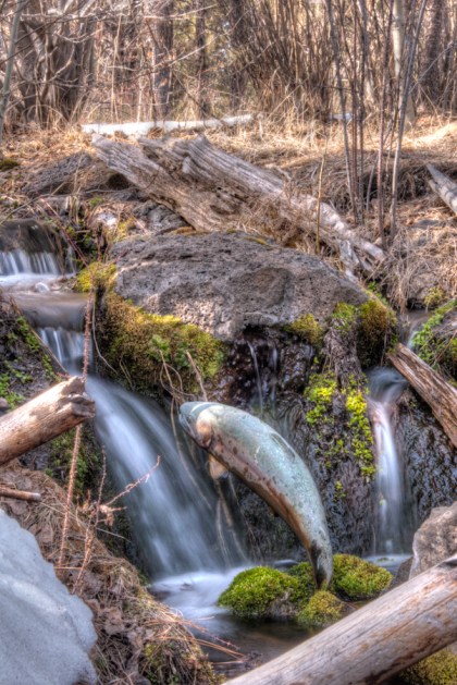 Maralee_Park_Day64_00001