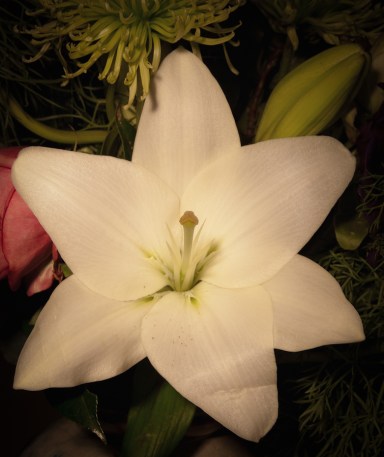 Maralee_Park_Day66_00003