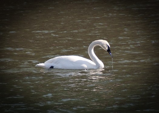 Maralee_Park_Day70_00002