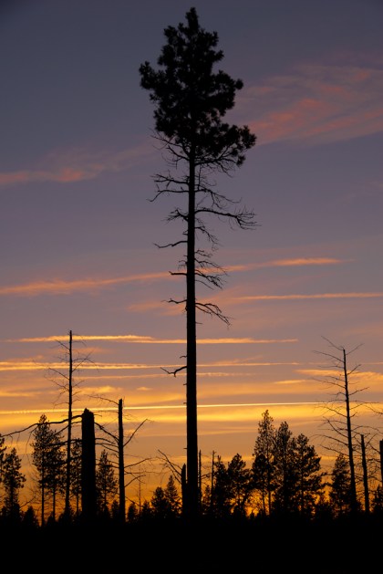 Maralee_Park_Day68_00004