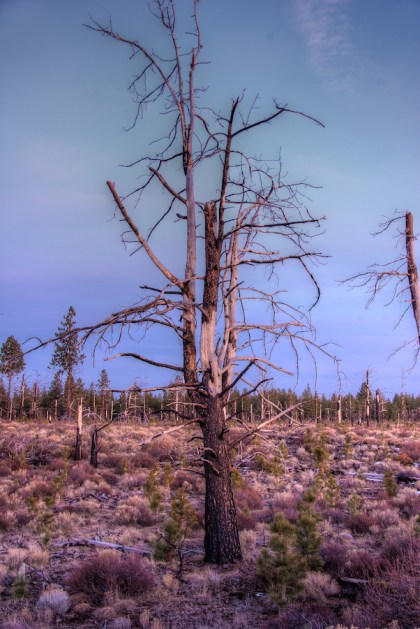 Maralee_Park_Day68_00002