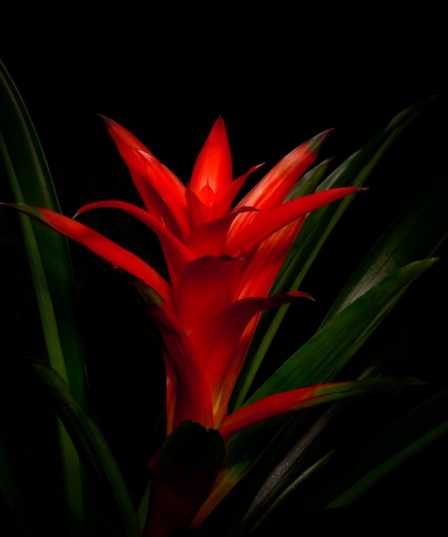 Maralee_Park_Day72_00002