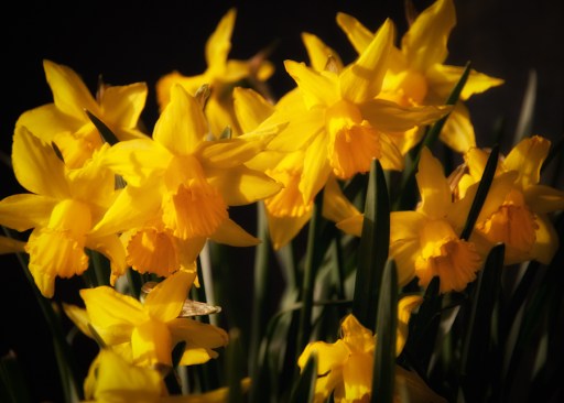 Maralee_Park_Day74_00001