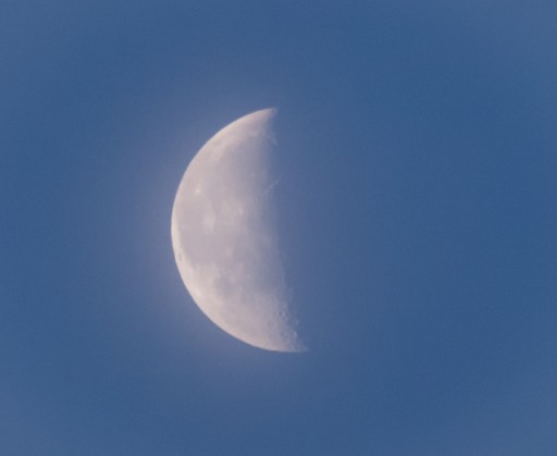 Maralee_Park_Day75_00002