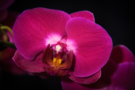 Maralee_Park_Day76_00002