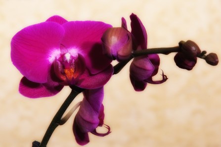 Maralee_Park_Day76_00001