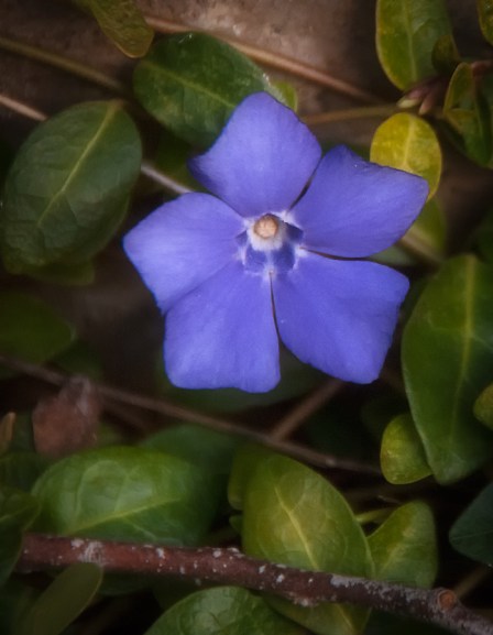 Maralee_Park_Day79_00004