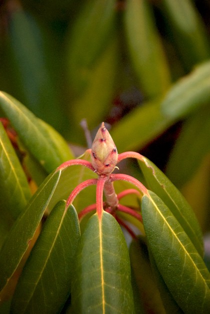 Maralee_Park_Day79_00002