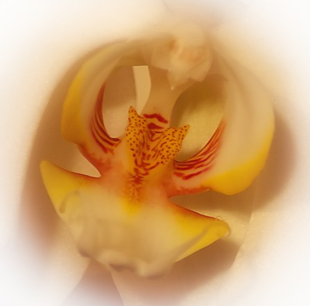 Maralee_Park_Day81_00004