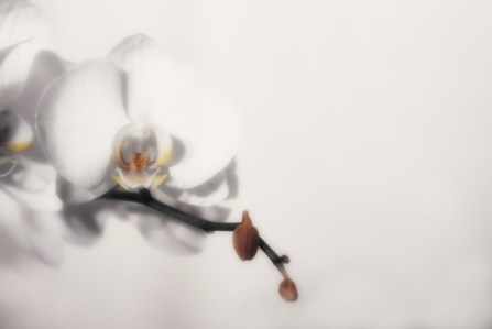 Maralee_Park_Day81_00001