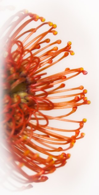 Maralee_Park_Day82_00003