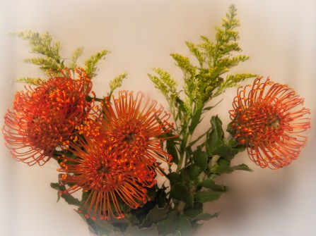 Maralee_Park_Day82_00002