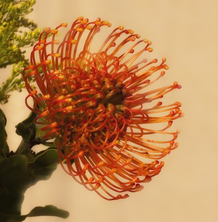 Maralee_Park_Day82_00001