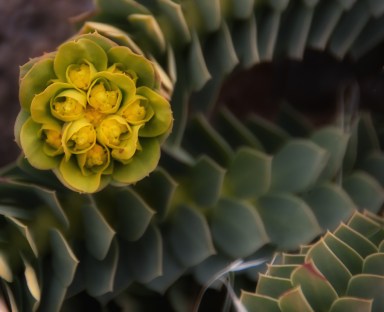 Maralee_Park_Day86_00005