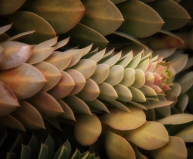 Maralee_Park_Day86_00003