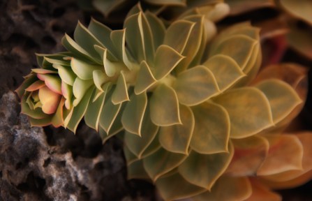 Maralee_Park_Day86_00002