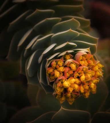 Maralee_Park_Day86_00001