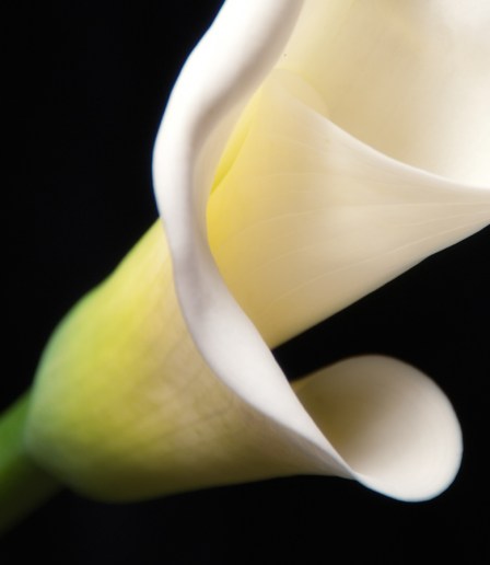 Maralee_Park_Day88_00002