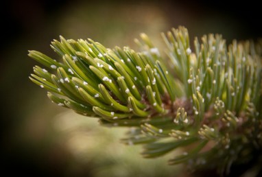 Maralee_Park_Day90_00003