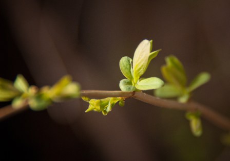 Maralee_Park_Day90_00001