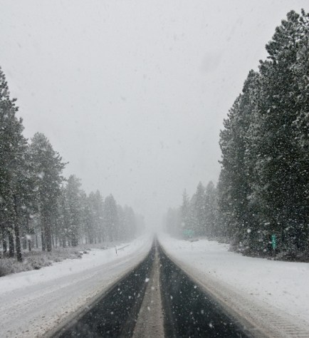 Maralee_Park_Day91_00003